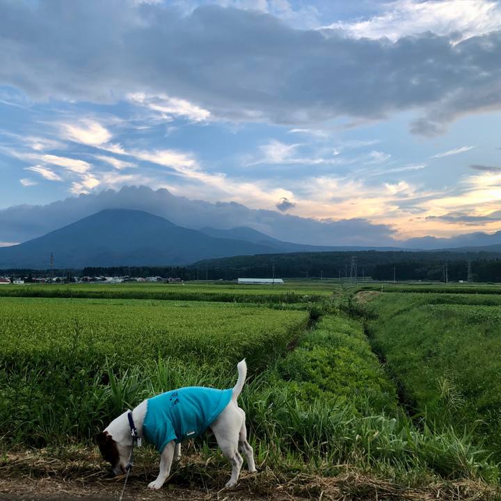 647091d3 676c 421e 8657 3e6c5177e5ea 1598611905955