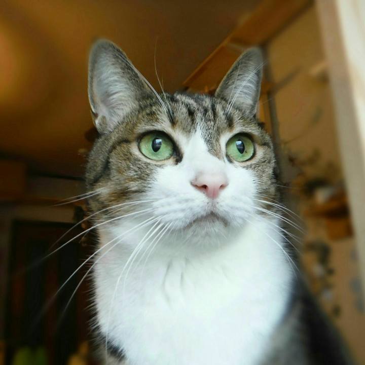 6470a163 7d2f 409a b46f 2e090385e26e 1549760630165