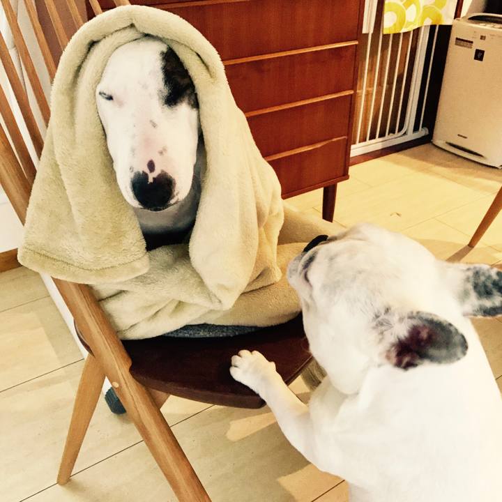 6470e707 9e74 4893 962f 0b8facf6ccdc 1510621648832