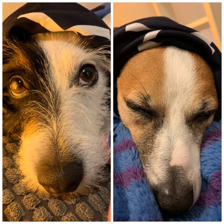 64710088 5a7b 4915 8821 65a65507bb89 1557842843261