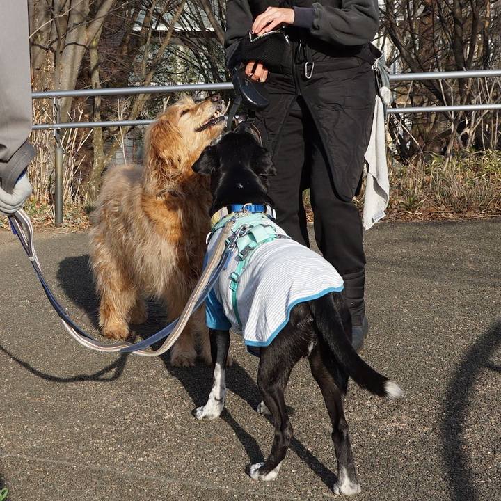 6471280d b04d 4f89 af50 06501db406eb 1772327963715