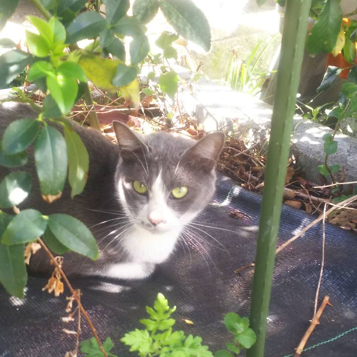 64717515 656f 4f6d b691 759d80af45d1 1552101750720