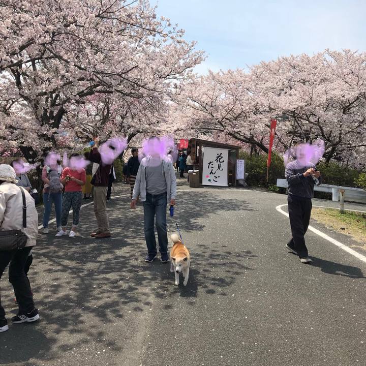 647177c8 4ff5 46af 8514 7c61f8f1a5b5 1554690660024