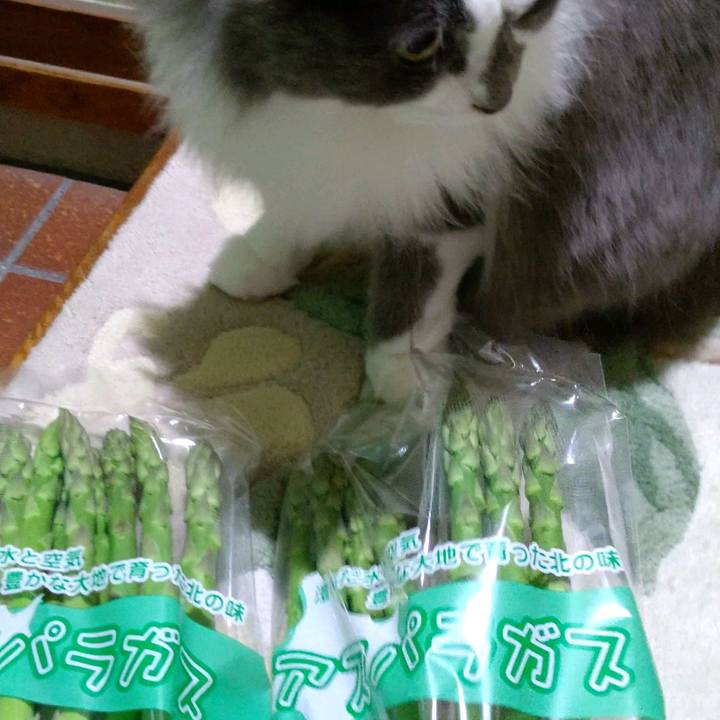 6471d485 18e8 4c95 9c1b 0c2fc4f234f4 1618723556936