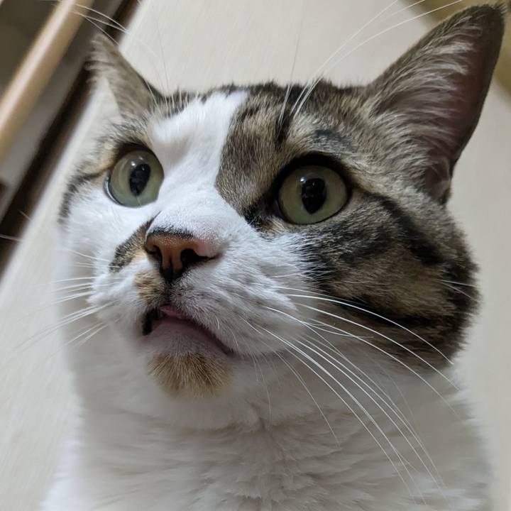 64720f05 5070 44c2 a7fe c56e2309b495 1707813010327