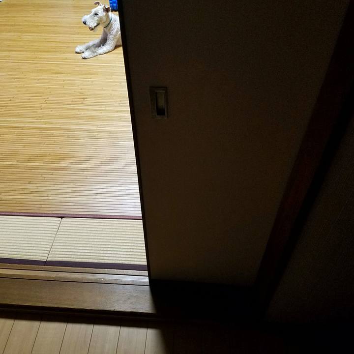 6472168e a629 4730 b811 7cb97ade36a2 1535081814613