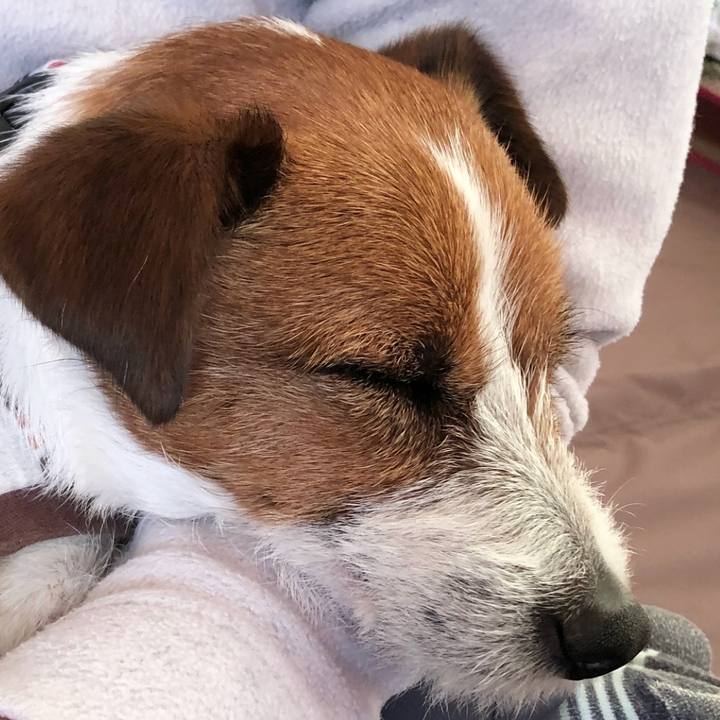 64724064 089e 4577 9927 ec4ed2c330a3 1523534510513