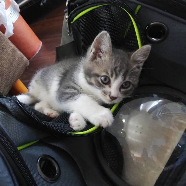 647258fa f9c5 4963 915d acb6208d0ccd 1560389599603