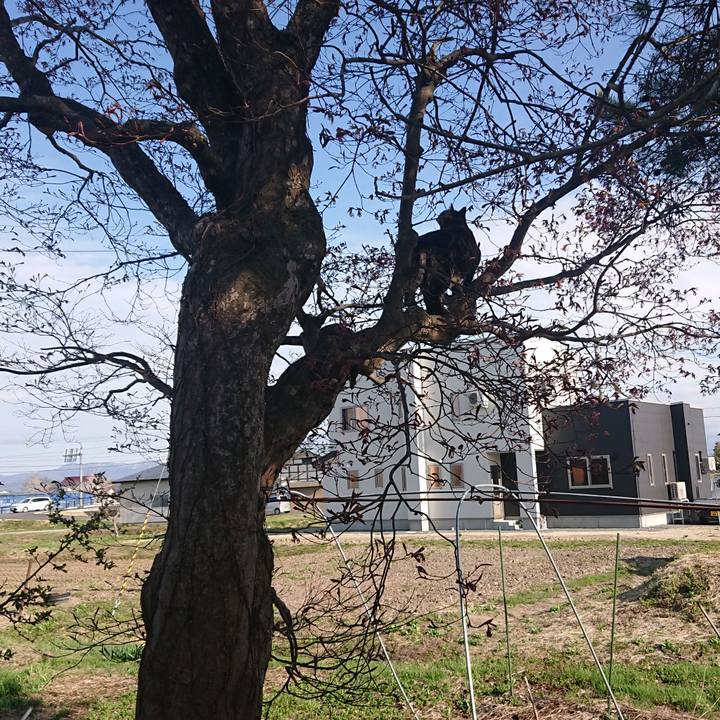 64726102 c14a 4b45 ae92 a74f0e241937 1650715830429