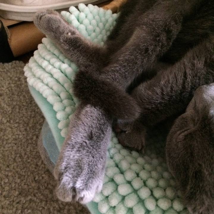 6472e6ba d720 4626 8880 fe17278fc06f 1538692739730