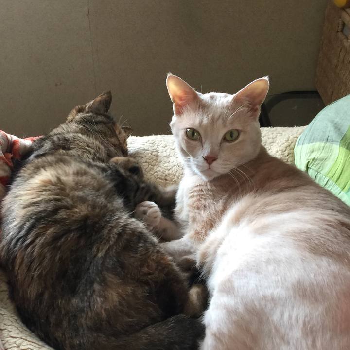 64730198 f6bd 4b89 aa21 e182331e4139 1647405247903