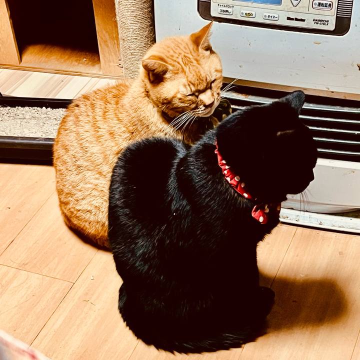 647315ef 16f2 43e5 9922 3ba5bd5b428f 1764020743917