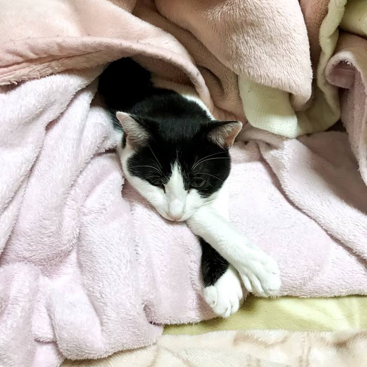 647327b4 f72f 4d1d 8173 51cc2b82d57a 1511093151444