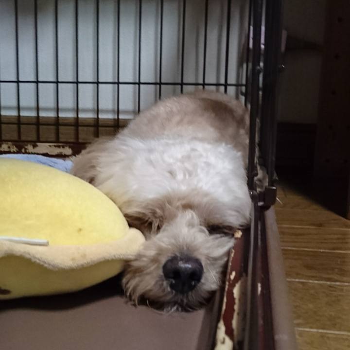 64733b62 3eb6 4020 9b64 b093a52b3d00 1568612955207