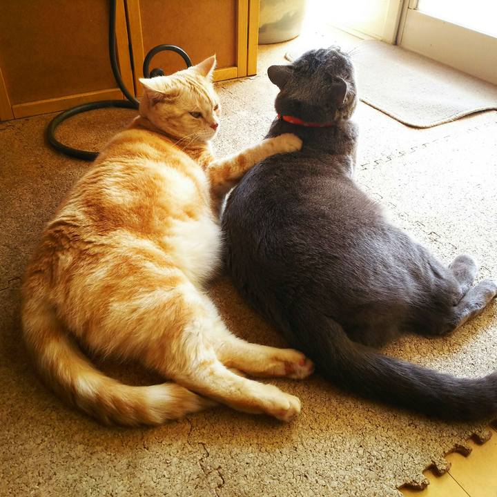 64734b86 1333 442c a827 49f8d6b431dc 1522237454863