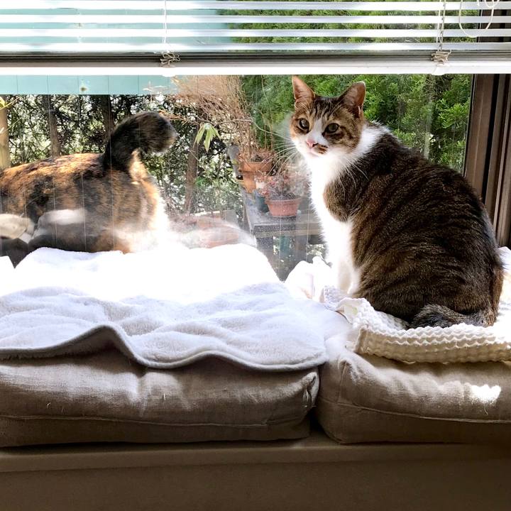 647390a3 51f2 4b63 8331 ba305e989fdd 1520054470407