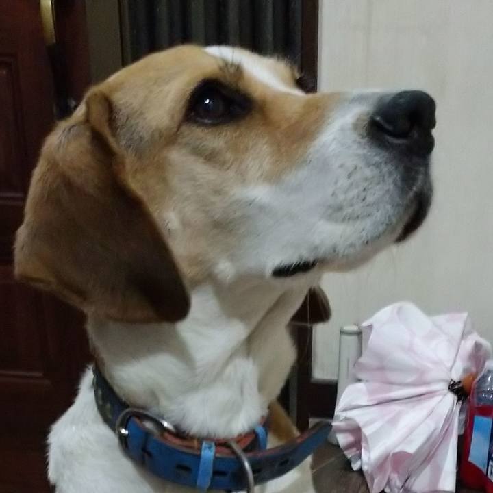 64739715 25d4 49e1 ac53 60247e7e4897 1605358086696