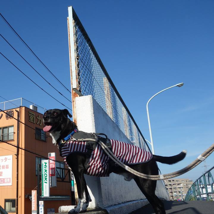 6473a82c eff6 4d0e 8b20 8a33587807c7 1660089451089