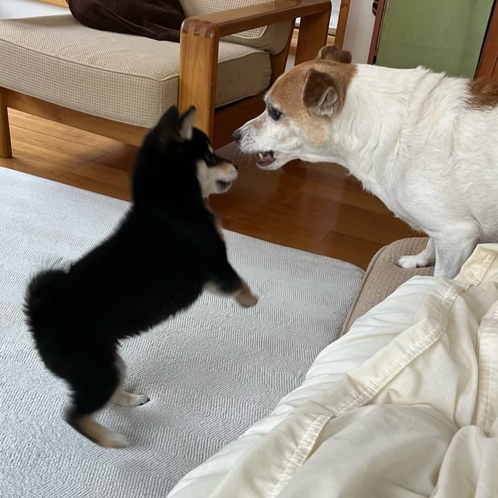 6473bf75 d146 43ba a11c c7c53c700ad4 1777018021896