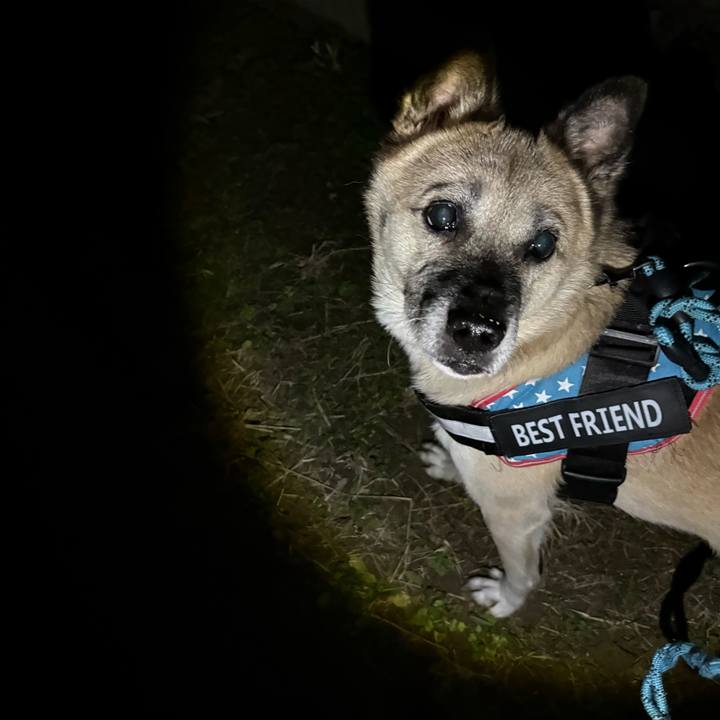 6473c7ad bf36 46dc a67a 91ec56c70035 1765628399528