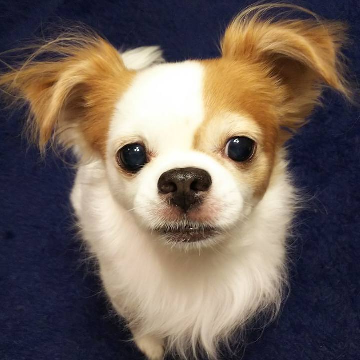 6473fb67 27fb 476e 8e72 45dea6f3ee3f 1512117331119