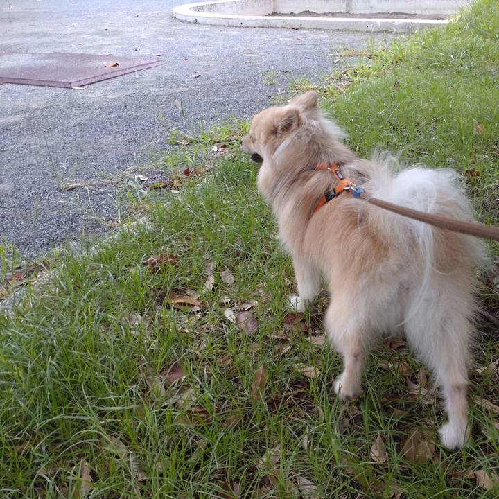 6473fe0f 33b6 4a50 a91f 4b90ae9b58fa 1757634389342