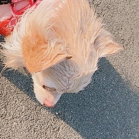 647413b1 2577 4676 ac12 ca7de3e3f65e 1619775007369