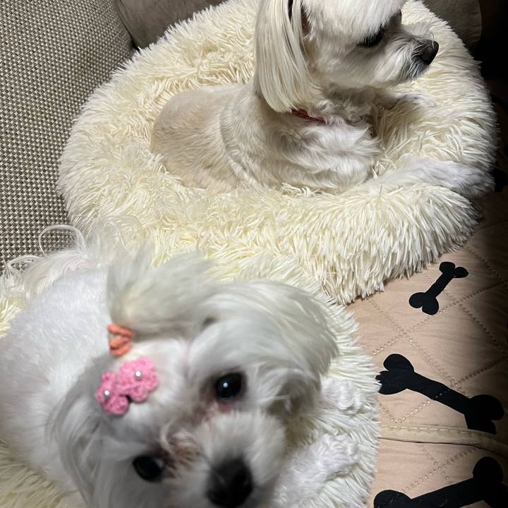 6474384c cdad 4b97 8e4a f0d37a3bf8c8 1729506047154