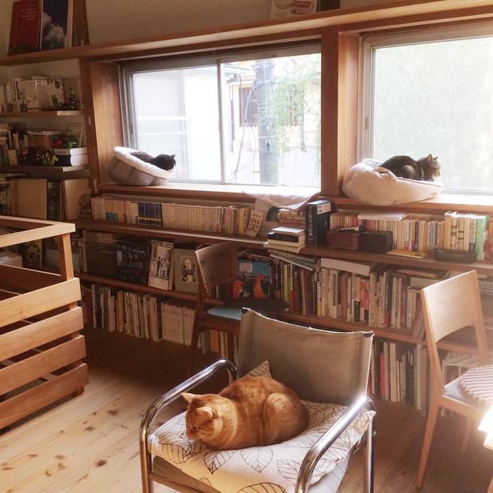 64743dd7 80c8 4ab9 9a1d 01bfbcfb4feb 1586300905889