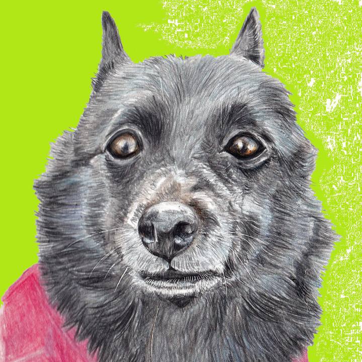 64743df4 638e 4750 be9a 298603feb5b2 1676714924092