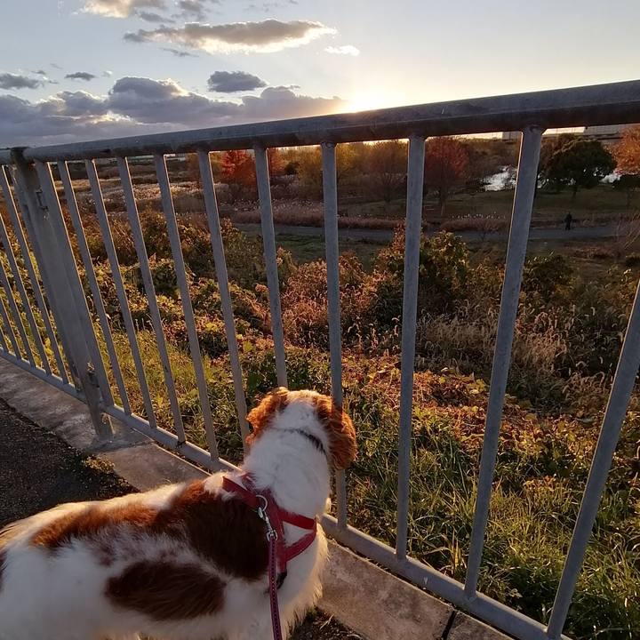 64745c02 0d0c 4368 83f6 ac782501a12a 1608111725044