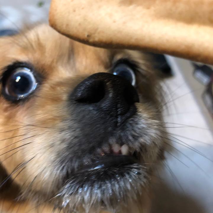 647480d2 9e69 4ccc b99f 8fdcd5efc4e4 1551130449685