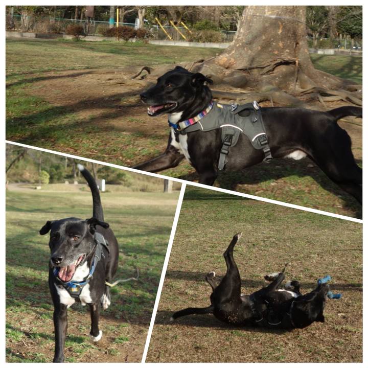 6474bfa4 cd83 4f0e b824 f3dadd2099a5 1647477731793