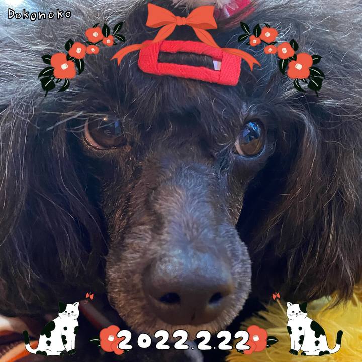 6474e64a d99f 41b8 a8c1 340decb38406 1645508094224