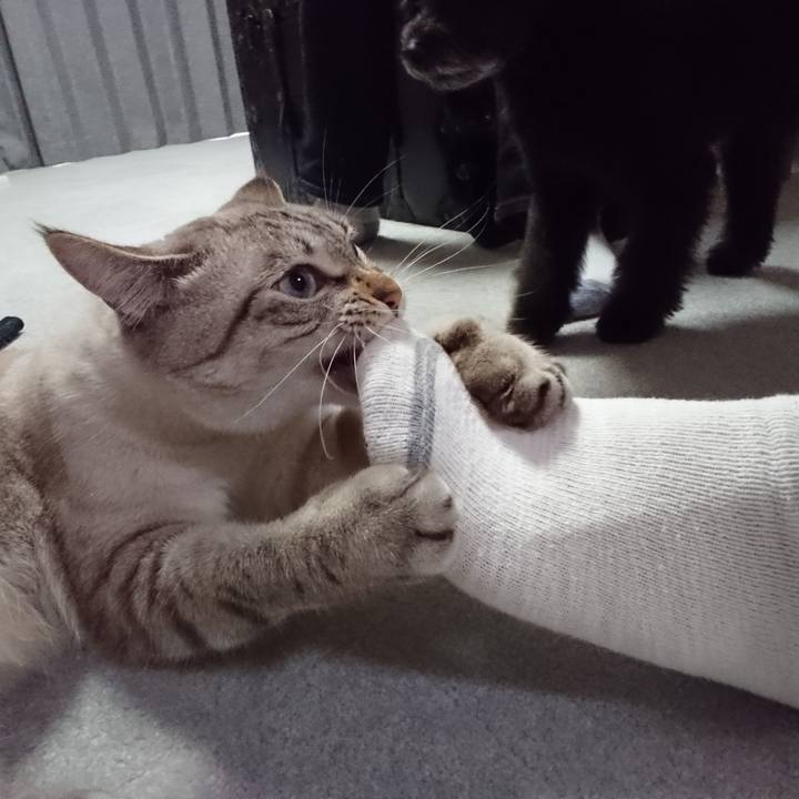 6475140e 0c95 4026 a4a3 1c08b6db1e58 1535274912759