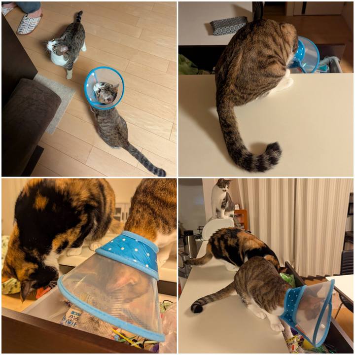 647514be c9cc 4b19 bea4 8fe00eba8dbd 1739419668198