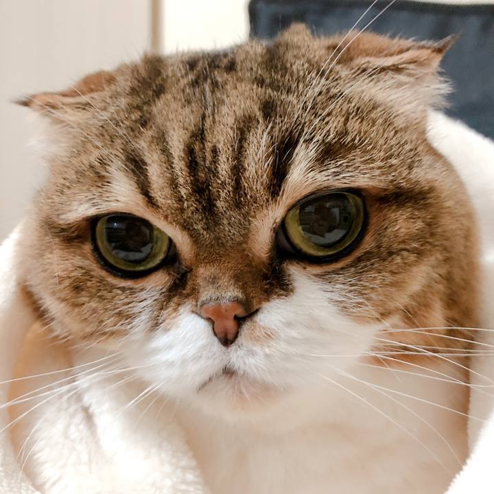 64755e81 6f9f 4b62 aad4 4a807eaeee0a 1578665884919