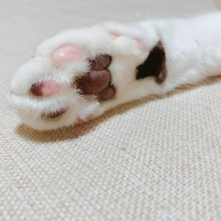 647561e8 f1d5 4151 82f3 a1d6c4ebb644 1515149914441