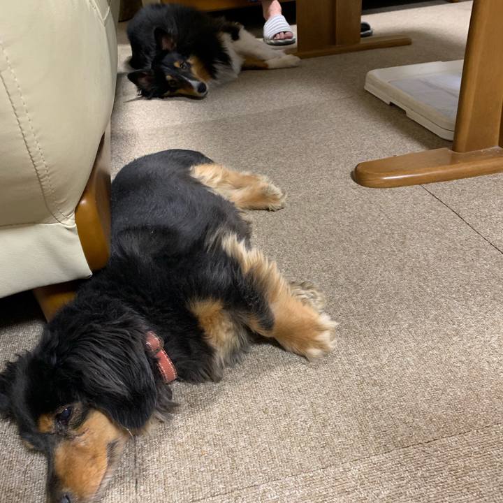 64757e40 31fc 454a bf75 a3c74e6898ce 1577998294804