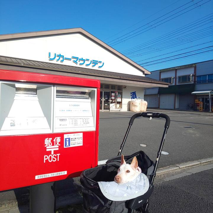 647585ba 56d3 4bff 88d1 5c3e357cab81 1596237598323