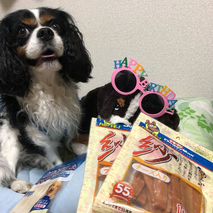 647595e4 369d 4f73 a909 7ced82b17692 1530716265179