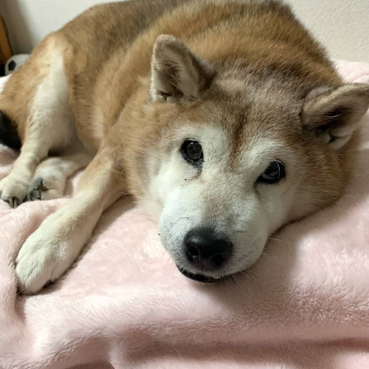 6475968a 20c9 4e1e 877f 5911f580e459 1639003699738