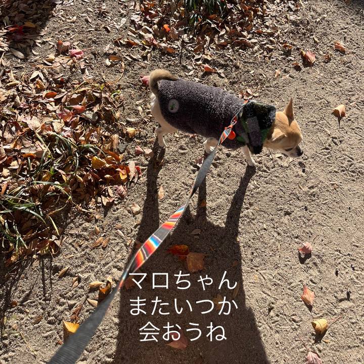 6475d4a4 dfde 4ad3 88a9 02f3646e4a65 1642673719896