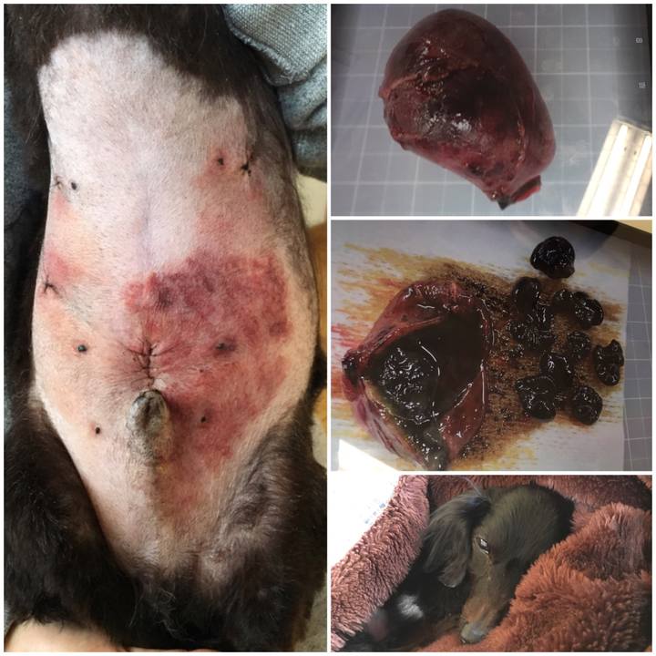 6475d75f df71 4c70 96f1 f706e2ce1f8e 1551066622507