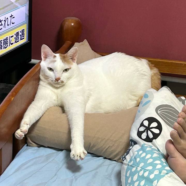 6475e368 9ab7 411a 9b47 21831fa8fde3 1673646676633