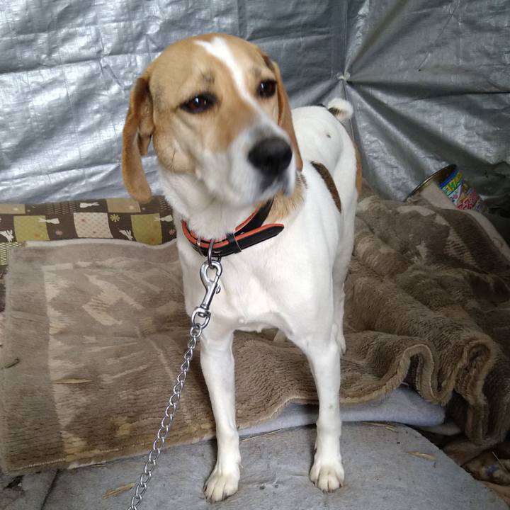 64760f50 c193 4d1d b4b6 b4b7afede3d0 1623652050838