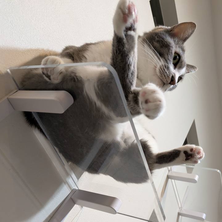 64761a85 663d 4709 b54c e62cb7aa6811 1731323685802