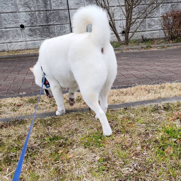 64765dac 9291 414f abf5 386ba9888548 1547526763408