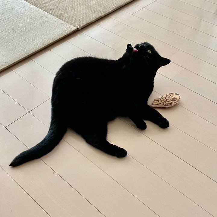 6476941e e96c 447e 8064 f4d2a1072a2c 1745023051994