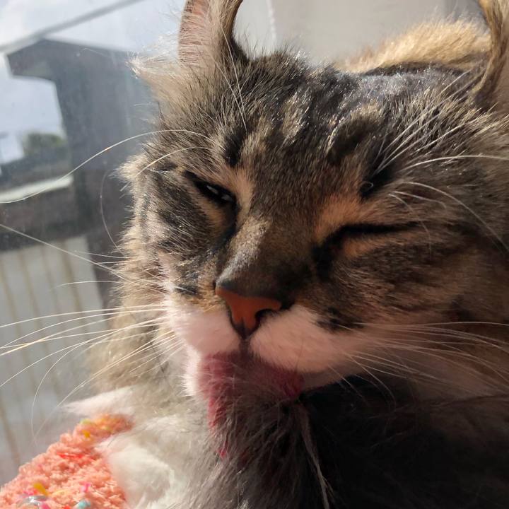 6476a1ff 6dee 4e19 bdf1 6d22d814a80b 1556955457903